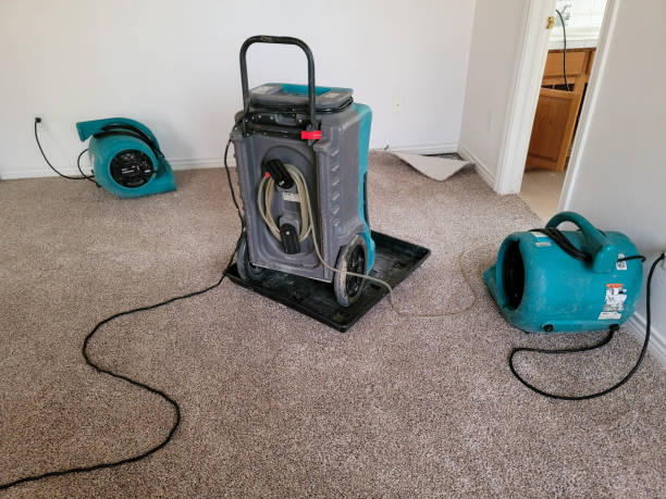 Best 24/7 water damage repair  in Highland Beach, FL