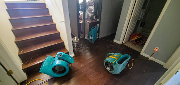 Best Flooded house restoration  in Highland Beach, FL