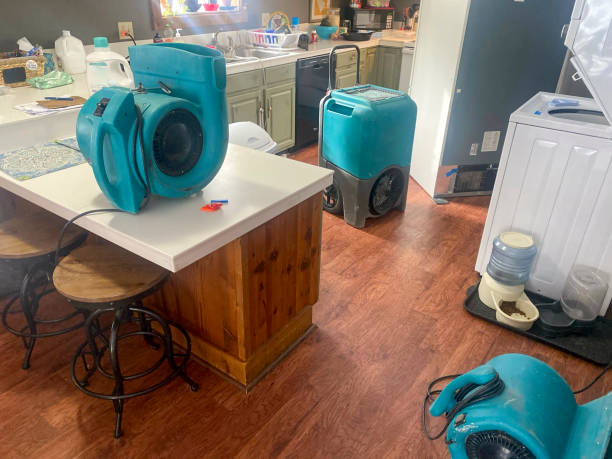 Best Basement water damage restoration  in Highland Beach, FL