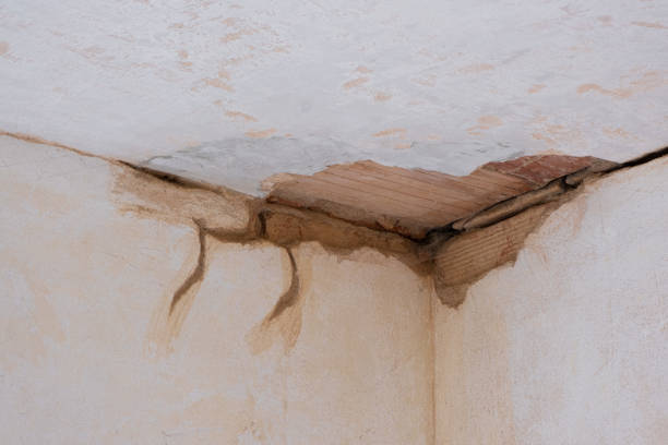 Best Carpet water damage restoration  in Highland Beach, FL
