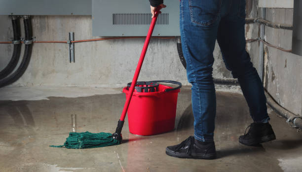 Best Water damage contractors near me  in Highland Beach, FL
