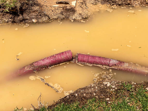  Highland Beach, FL Water damage restoration Pros